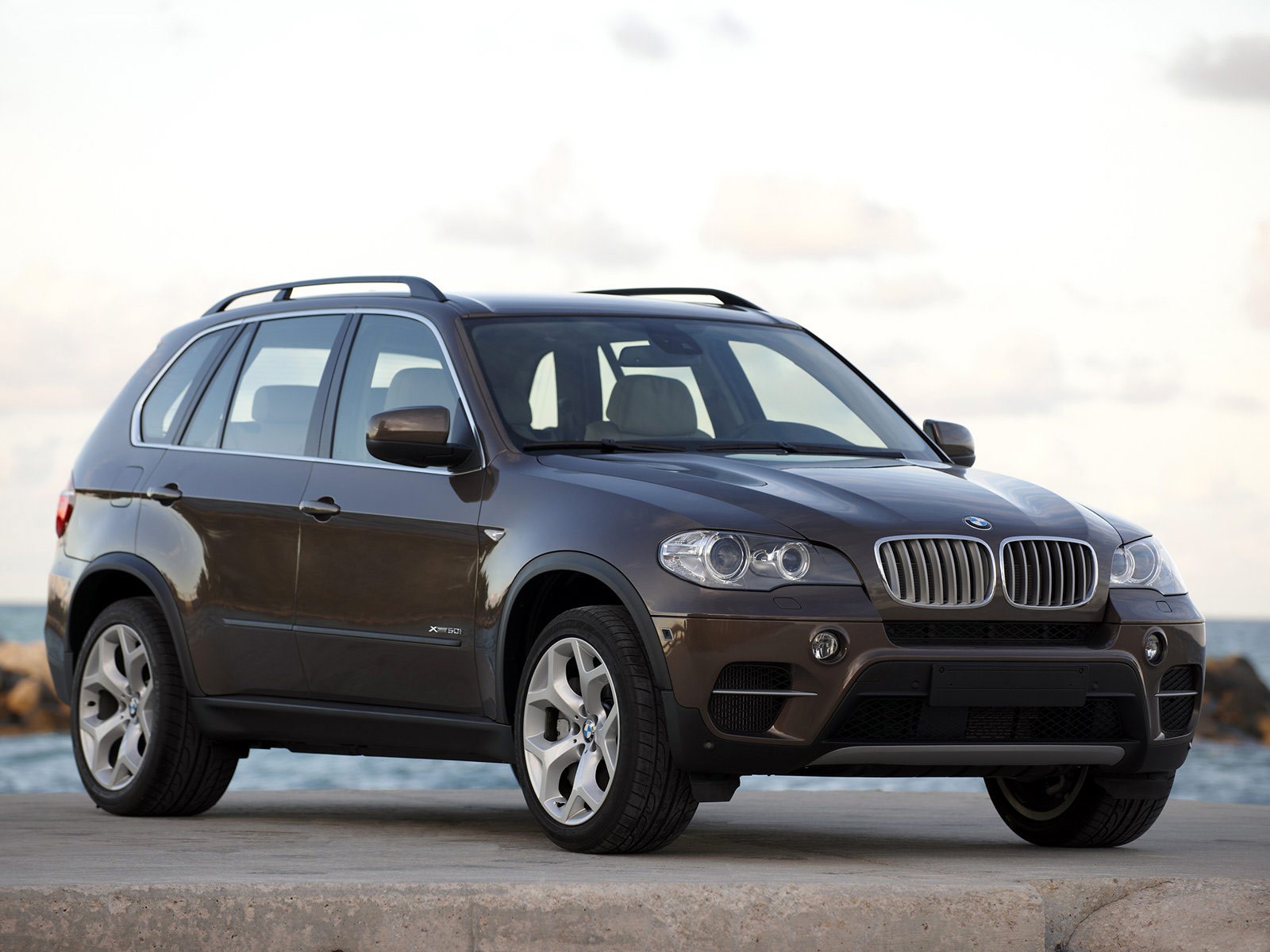 2010 BMW X5