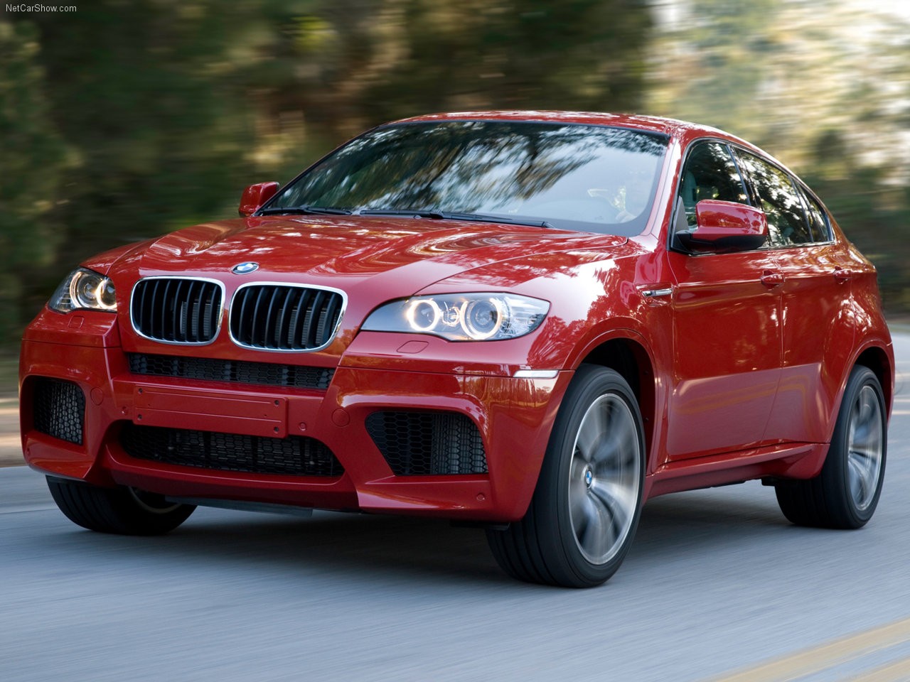 2010 BMW X6