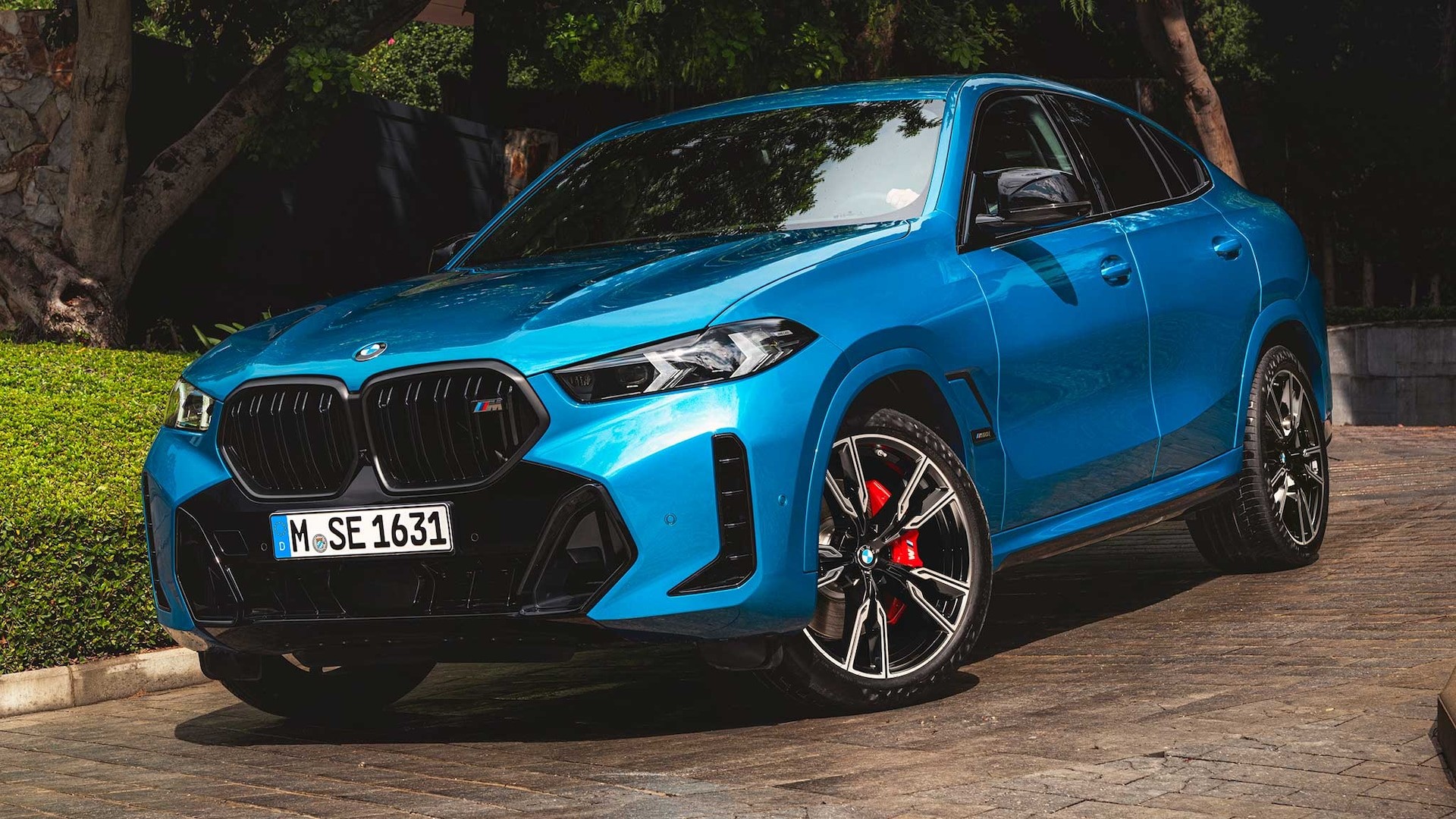 2024 BMW X6
